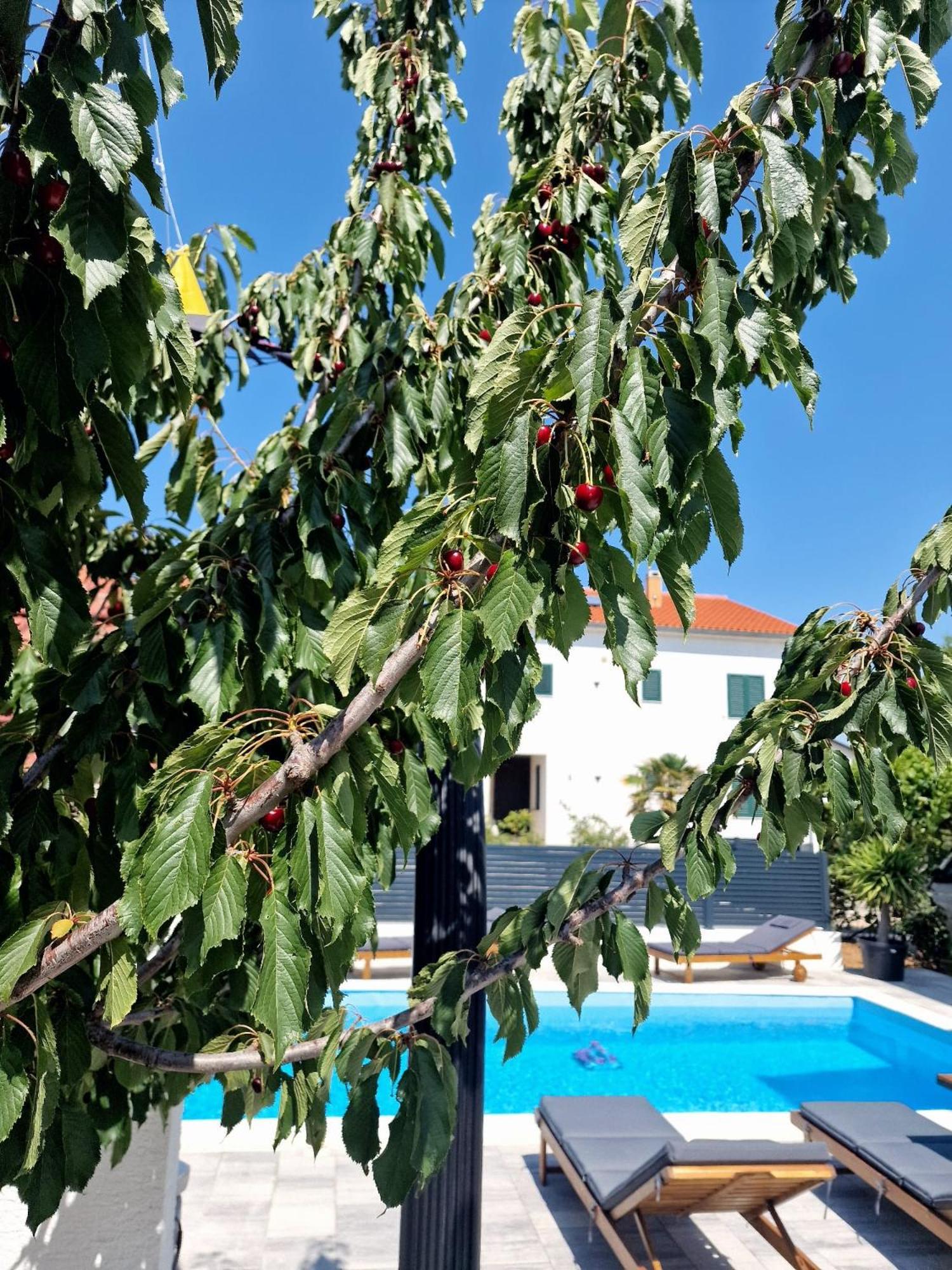 Apartament Renata